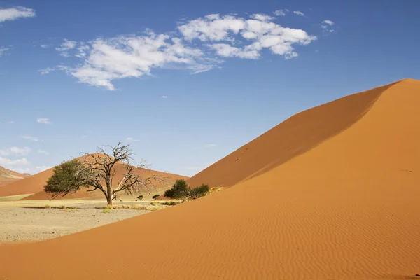 Sossusvlei Situado Parte Sur Del Desierto Namib — Foto de Stock