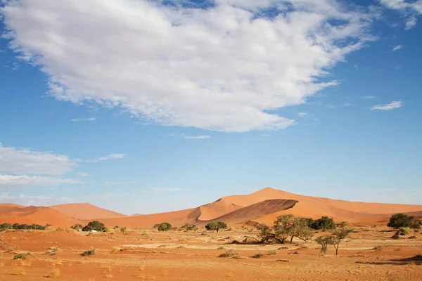 Соссуфлей Розташований Південній Частині Пустелі Наміб — стокове фото