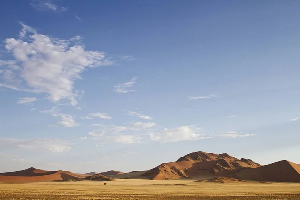 Scenic View Dunes Selective Focus — Stock Photo, Image