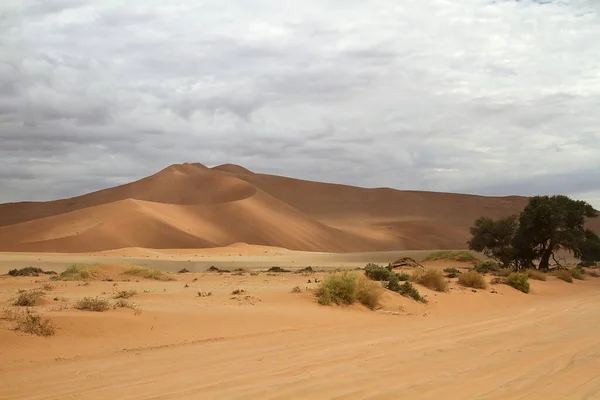 Sossusvlei Gelegen Het Zuidelijke Deel Van Namibische Woestijn — Stockfoto