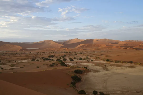 Вид Пустельний Ландшафт Намібії — стокове фото