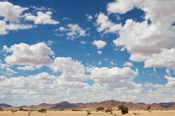 Vue Paysage Désertique Namibie — Photo