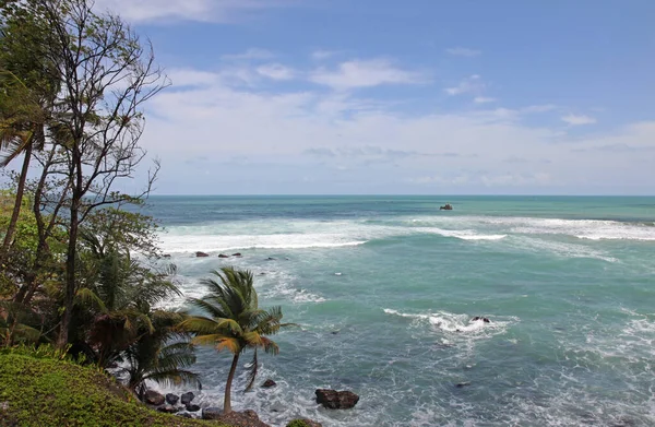 Praia Tropical Com Palmeiras Céu Azul — Fotografia de Stock