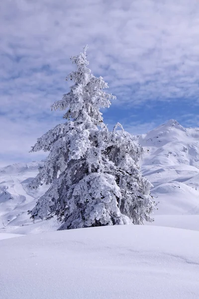 Rêve Hiver Dans Klostertal Vorarlberg — Photo