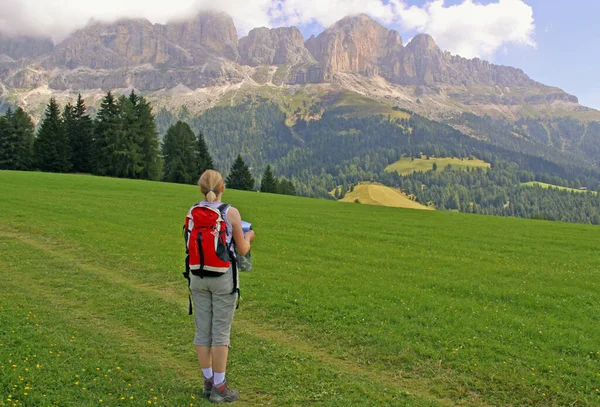 Vista Sul Giardino Delle Rose — Foto Stock