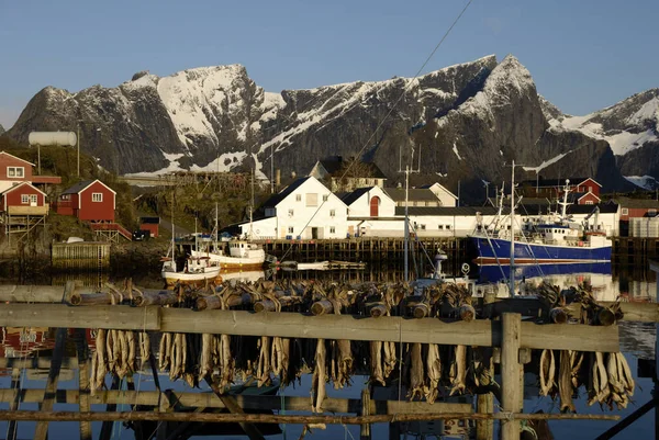 关于自然景观背景的Lofoten — 图库照片