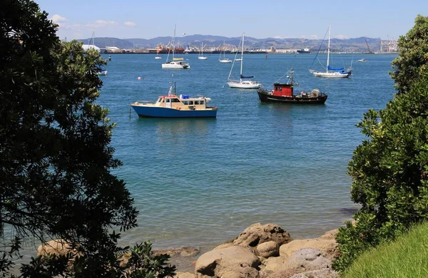 Nouvelle Zélande Maunganui — Photo