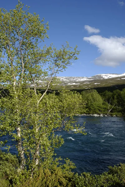 Sjoa Bei Maurvangen Jotunheimen Nationalpark Oppland Norwegen — Stockfoto