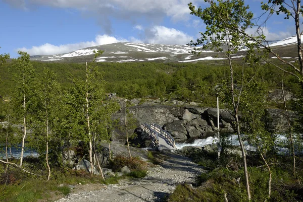 Holzbrücke Über Die Sjoa Bei Maurvangen Jotunheimen Nationalpark Oppland Norwegen — Stockfoto