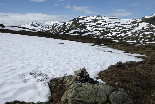 Schneefeld Utsikten Eidsbugarden Jotunheimen National Park Oppland Noorwegen — Stockfoto