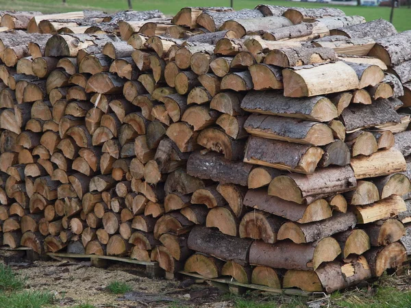 Gehäckseltes Brennholz Laubholzstruktur — Stockfoto