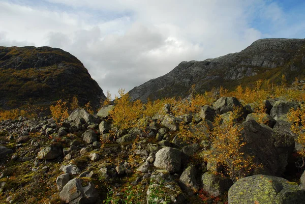 Norveç Fjordane Sogn — Stok fotoğraf