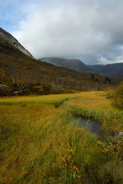 Noruega Parque Nacional Breheimen — Fotografia de Stock