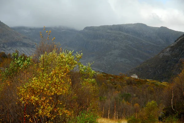 Norway on nature landscape background