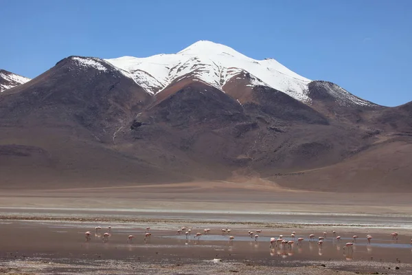 Potosi Negli Altopiani Meridionali Della Bolivia — Foto Stock