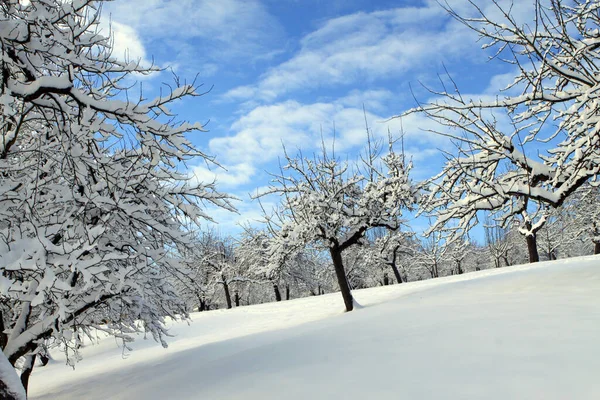 Живописный Вид Зимний Пейзаж — стоковое фото