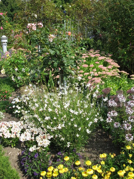 Sommerblumenpracht Planten Blomen — Stockfoto