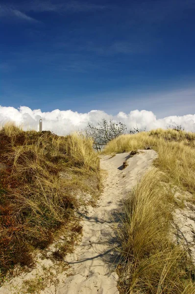 Dunová Krajina Poblíž Schoorl Aan Zee Severní Holandsko — Stock fotografie