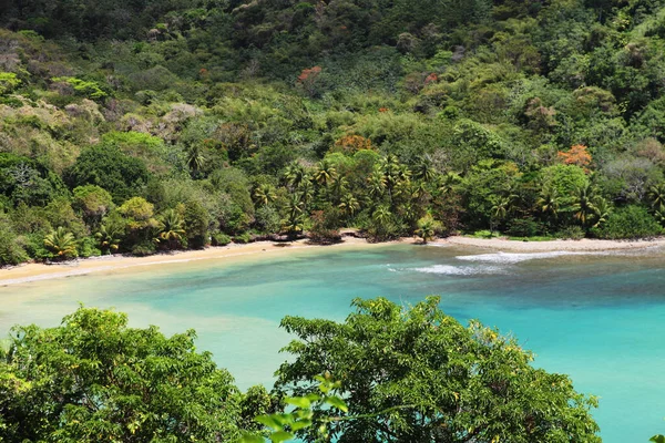 Piękny Tropikalny Krajobraz Plaży — Zdjęcie stockowe