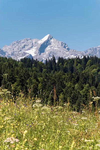 Eckbauer Garmisch Partenkirchen Bavorsko Německo — Stock fotografie