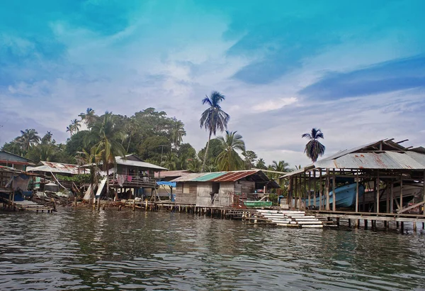 Lever Vid Havet — Stockfoto