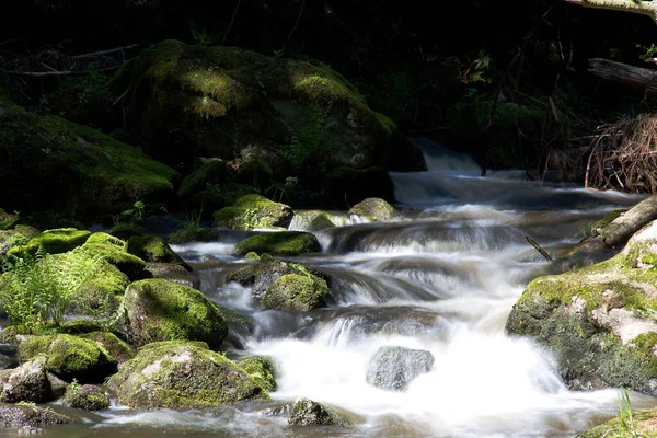 Vackra Bayern Officiellt Den Fria Staten — Stockfoto