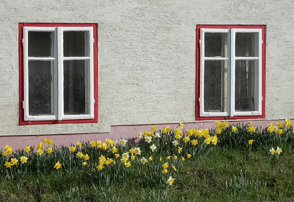 春に二つの窓 — ストック写真