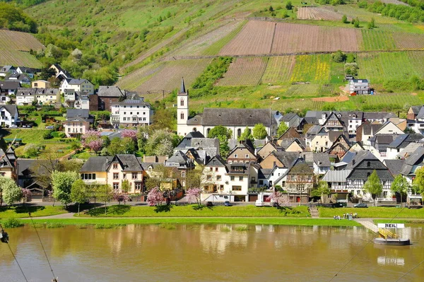 Printemps Reil Sur Moselle Avec Une Légère Inondation — Photo