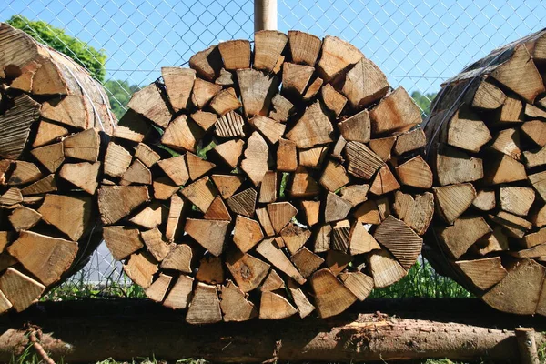 木の切り株木の木 — ストック写真
