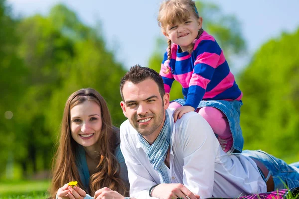 Familia Feliz Sienta Prado Verano — Foto de Stock