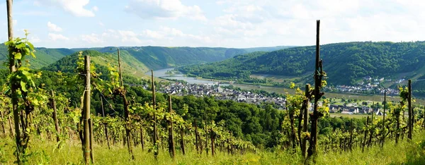 Κοιλάδα Moselle Από Φθινόπωρο Πανόραμα — Φωτογραφία Αρχείου
