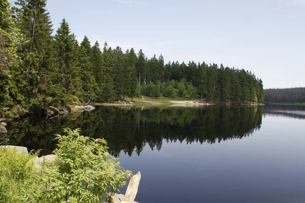 Bela Paisagem Lago Com Floresta Árvores — Fotografia de Stock