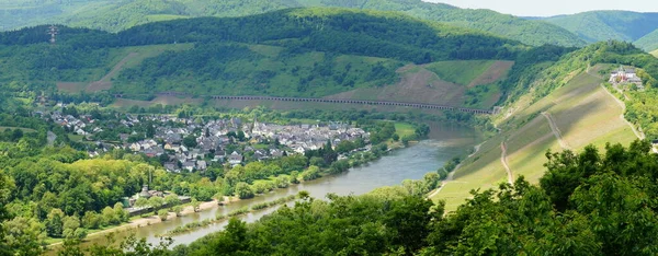 Valle Moselle Con Briedel Panorama Verano —  Fotos de Stock