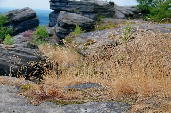 Wandelen Elbe Sandstone Mountains — Stockfoto