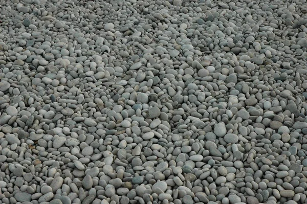 Pedras Praia Pedras Seixos — Fotografia de Stock