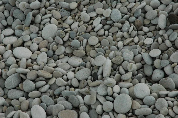 Strandstenen Rotsen Kiezelstenen — Stockfoto