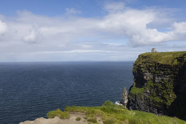 アイルランドの母の崖の上の風景 — ストック写真