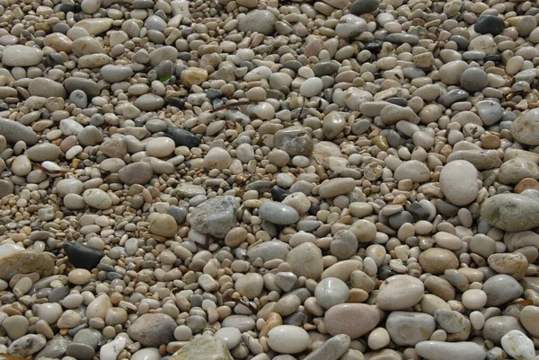 Stenar Vid Havet — Stockfoto