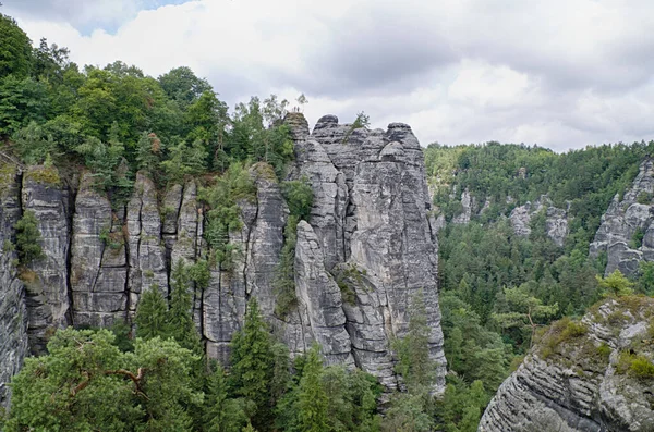 Túrázás Elba Homokkő Hegyek Közelében Bastei — Stock Fotó