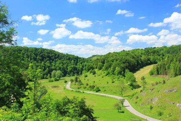 Typische Landweg Schwaebische Alb Baden Wuerttemberg Duitsland — Stockfoto