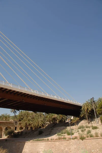 Spain Cable Stained Bridge — 스톡 사진