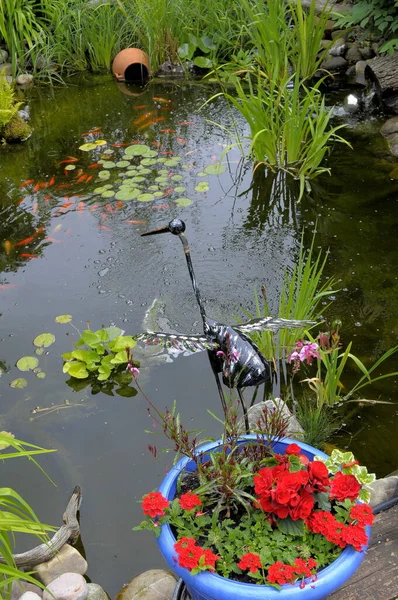 Gartenteich Mit Goldfischen Blumentöpfen Gartendekoration — Stockfoto
