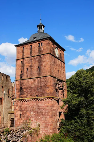 Parte Del Castello Heidelberg — Foto Stock