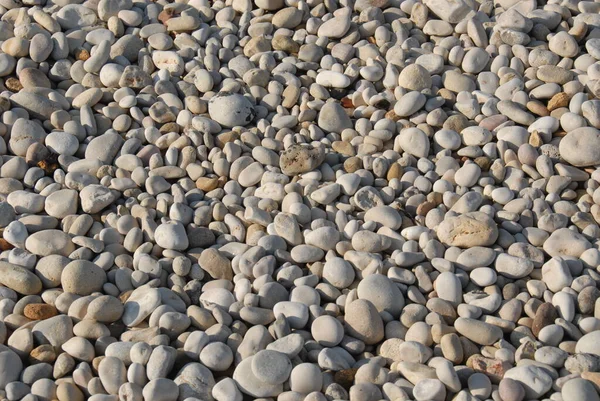 Strandstenen Rotsen Kiezelstenen — Stockfoto