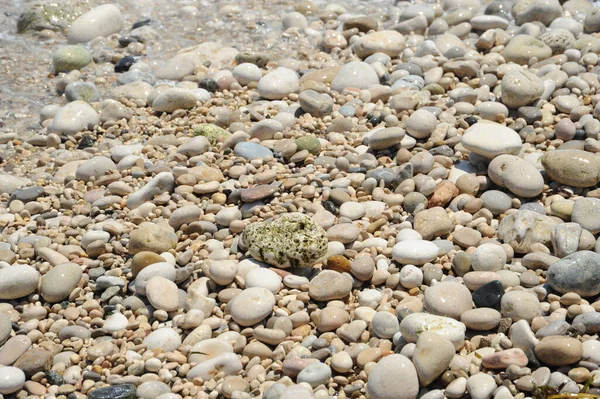 Strandkövek Sziklák Kavicsok — Stock Fotó