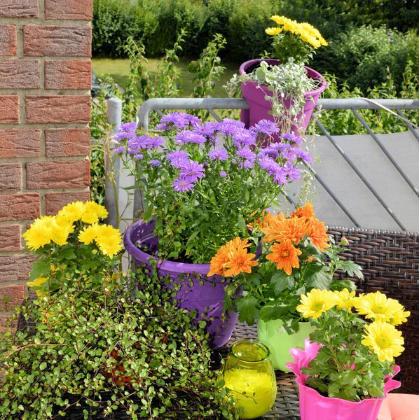 Fleurs Automne Sur Balcon — Photo