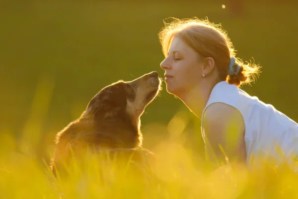 Genç Bir Kadın Köpeği Tarlada — Stok fotoğraf