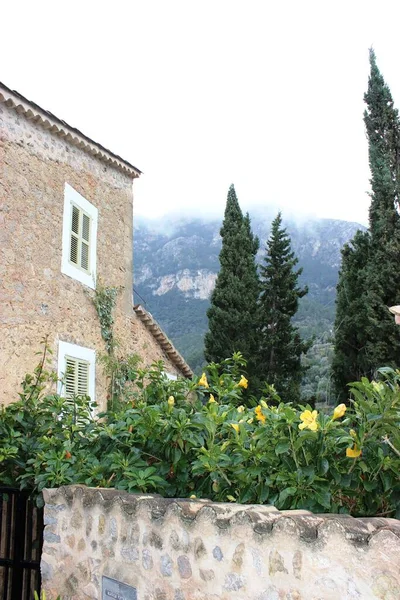 Mallorca Deia Kış Sisinde — Stok fotoğraf