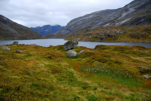 Norveç Doğa Manzarası Arka Planı Üzerine — Stok fotoğraf