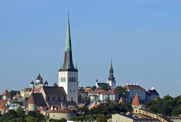 Stoltingi Torn Tallinn Estland — Stockfoto